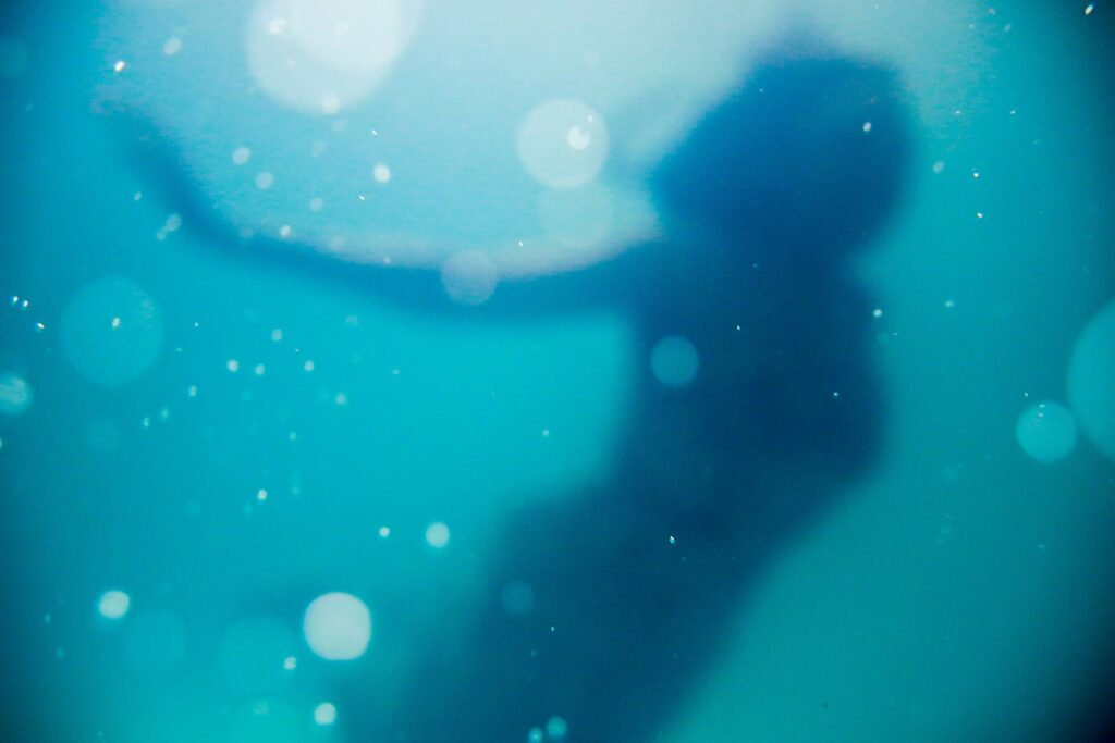 Il Mito di Melusina nsey-benajah-WaWV3DVqTA0-unsplash